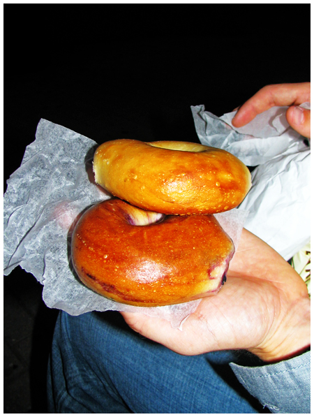 H & H Bagels Sourdough Bagel | Blueberry Bagel
