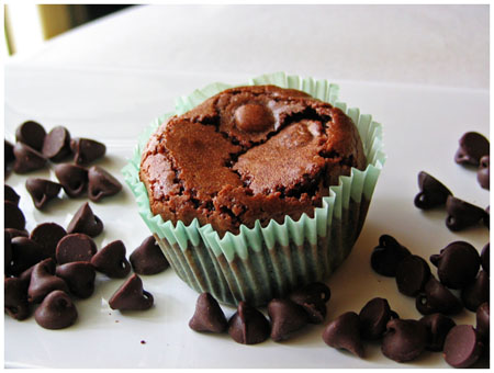 gooey chocolate lava cake